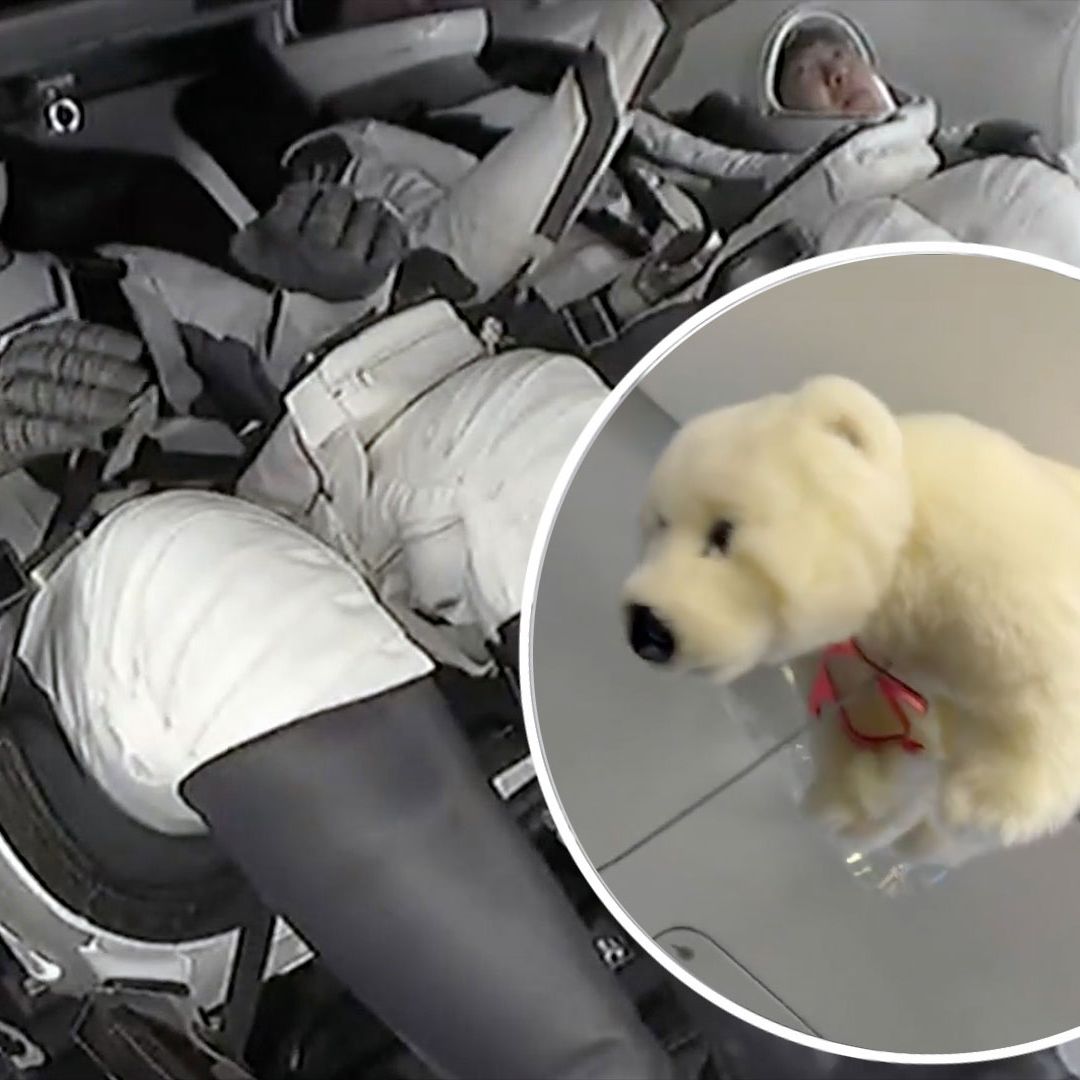 Plush polar bear with penguin art floats as Fram2 zero-g indicator