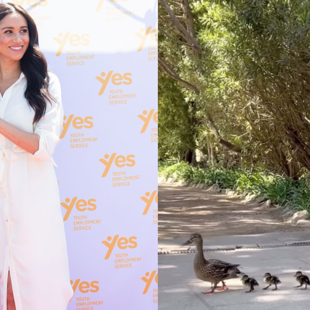 meghan markle white shirt dress Meghan steps out in white shirt dress in Johannesburg