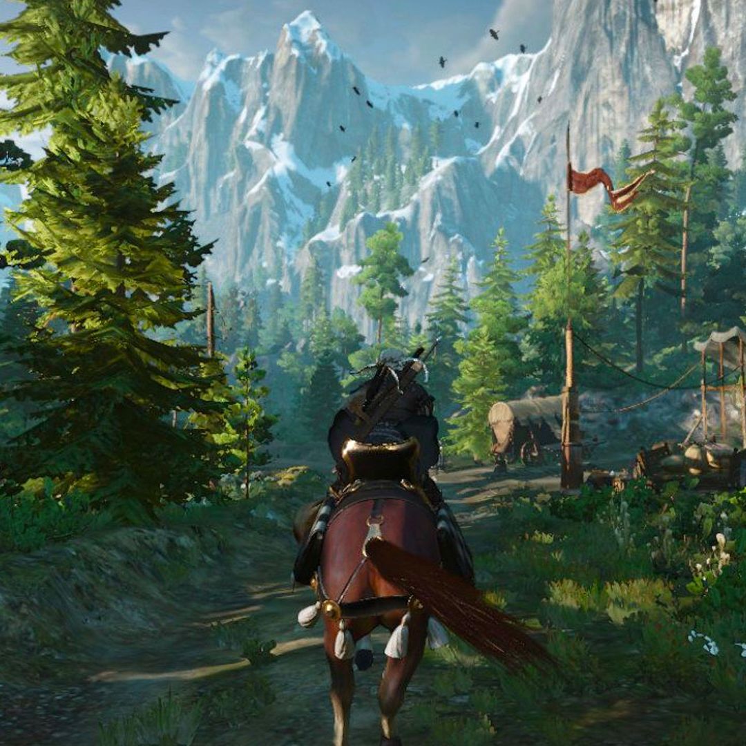 nintendo switch games witcher
