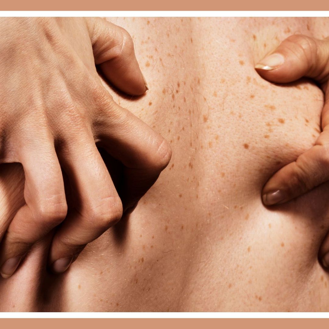 Барлық онлайн порно видео Эрик Неміс порно видео онлайн