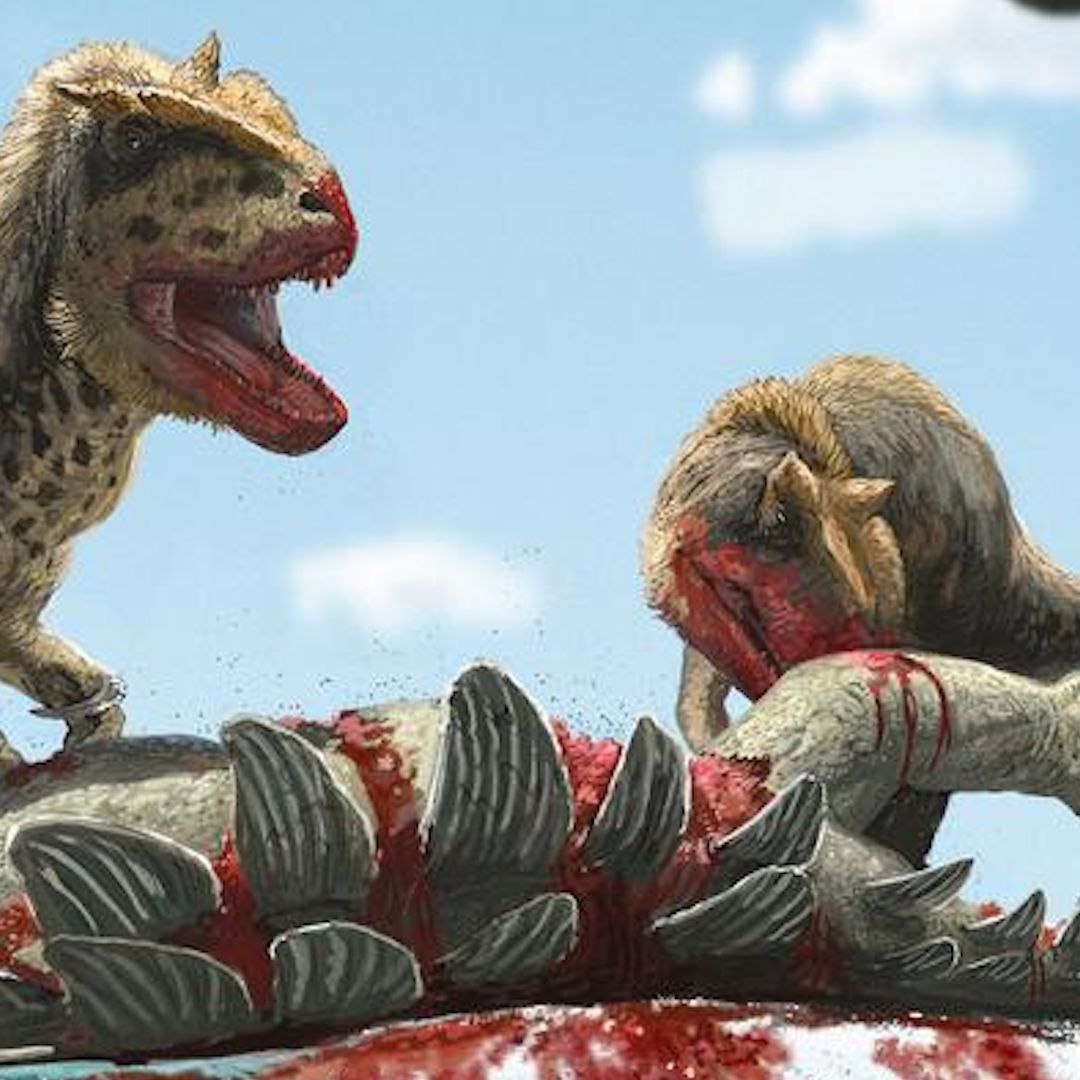 T. rex relative with giant, protruding eyebrows discovered in