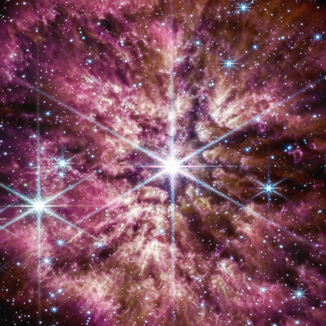 78th star　バウルー bv4dyDGe78EPYP5796AD7Y.jpg