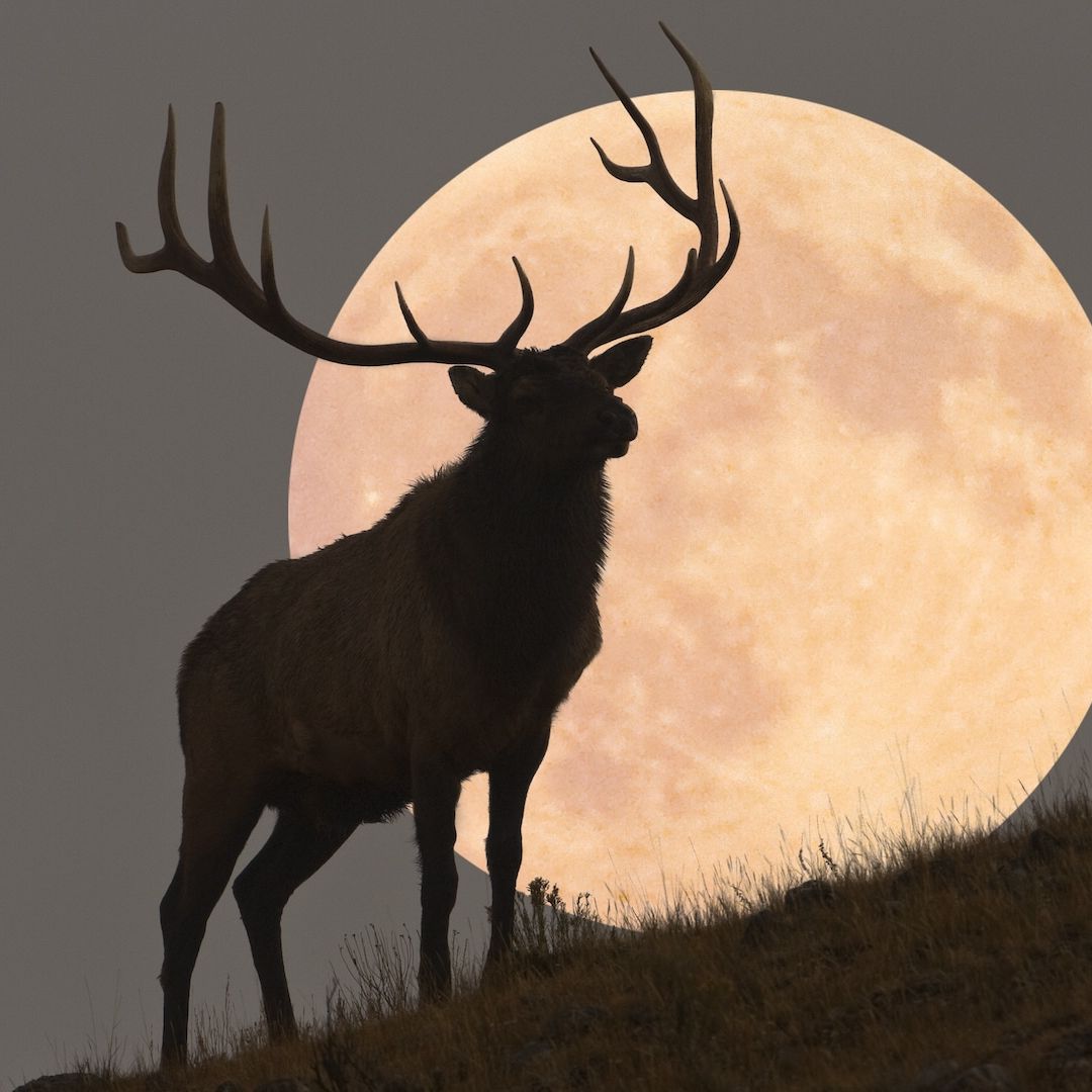When to see July’s full buck moon