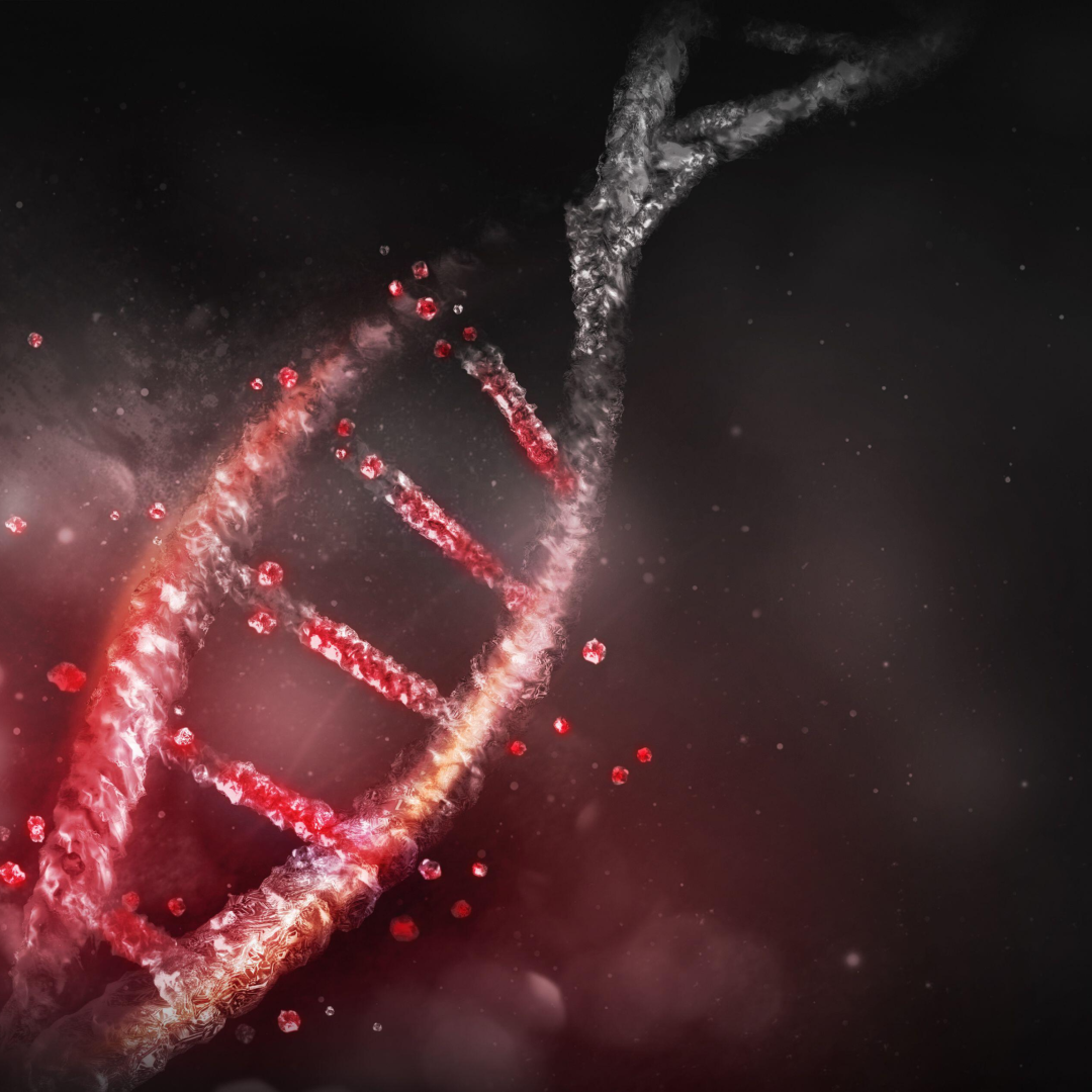 Lovelymoana porn Com - Chaturbate archive, Stripchat