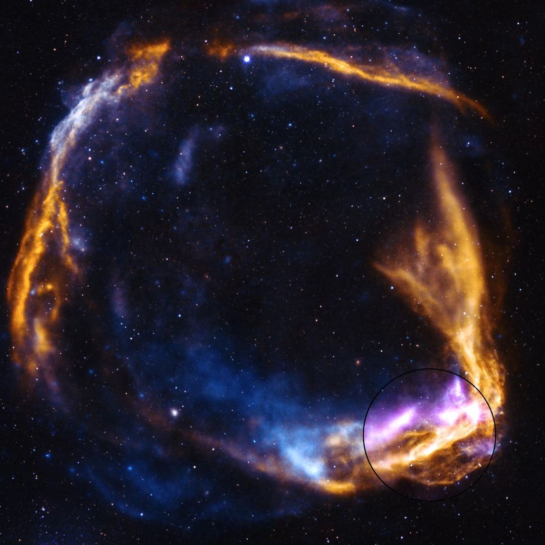 NASA telescope uncovers new mystery in supernova first spotted by