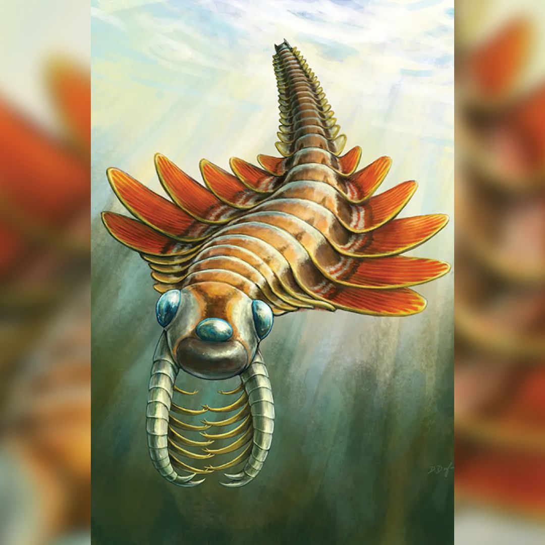 未開封　OZROSAURUS　JUICE　M.O.S.A.D & MACCHO Half-a-billion-year-old 3-eyed sea creature dubbed 'Mosura