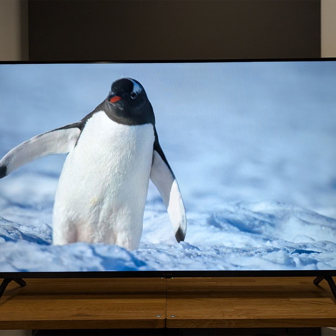 Hurry! This four-star Panasonic TV has dropped below £500 Hurry! This four-star Panasonic TV has dropped below £500