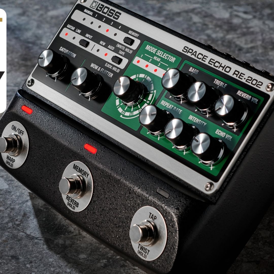I stand by the Boss RE-202 as one of the most convincing tape echo