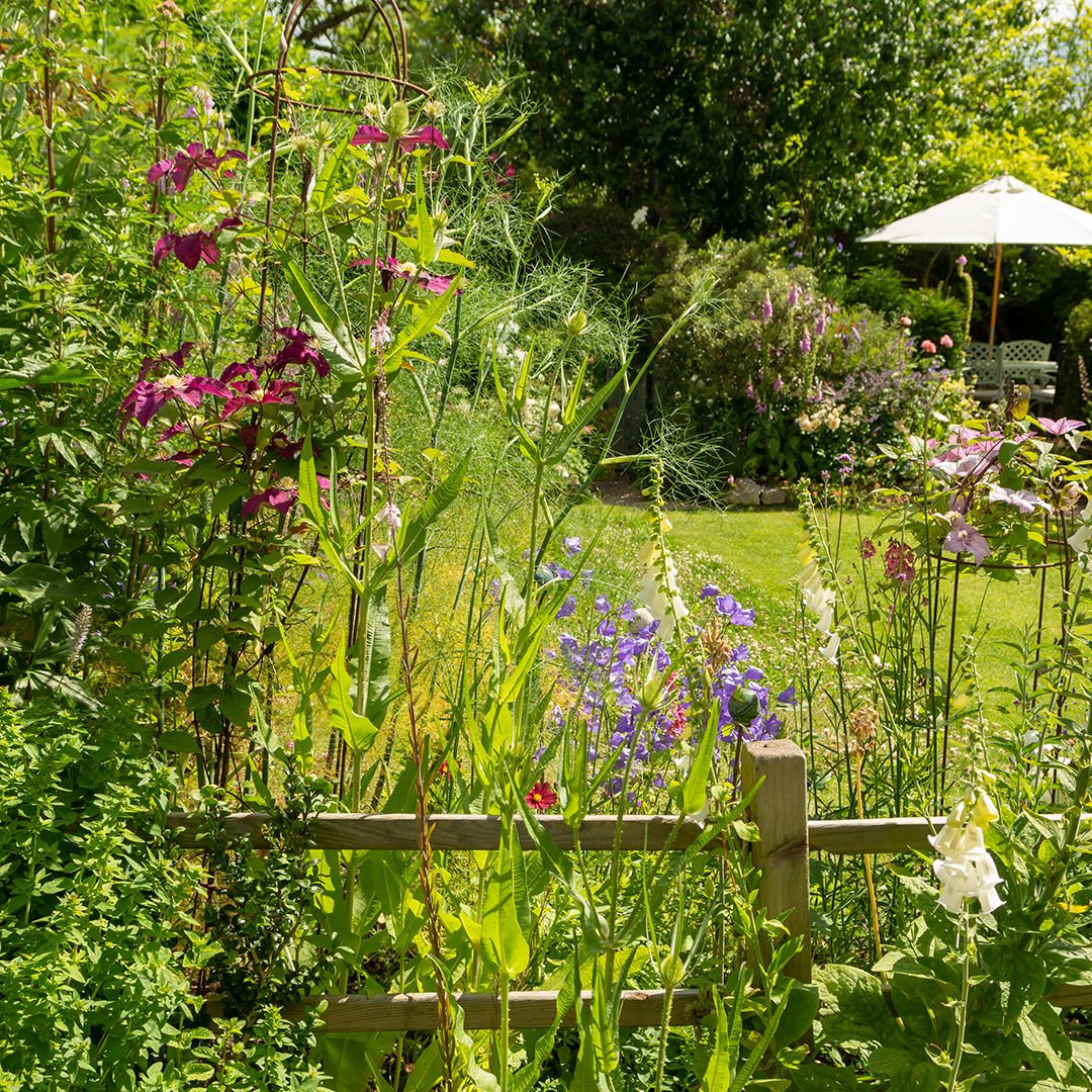 19種のハーブの飾り皿 THE COTTAGE GARDEN SOCIETY Elements of a