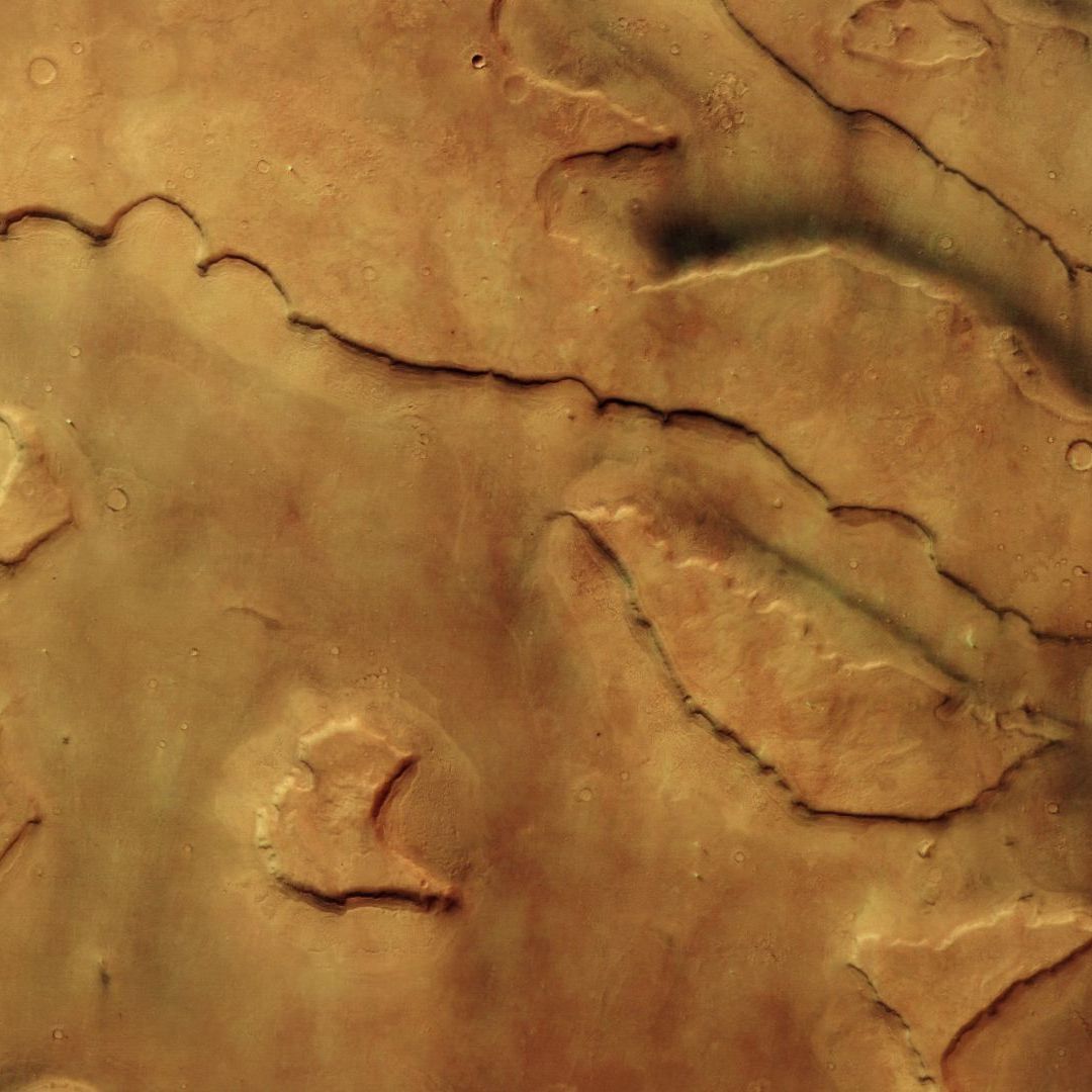These Mars valleys are hiding 30 dust devils photo of the day for
