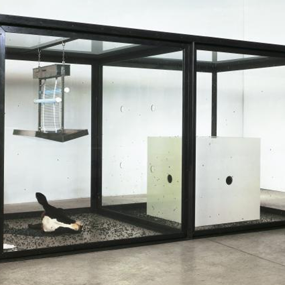 (大判ver)Damien Hirst DAMIEN HIRST (B. 1965), Wu Zetian (H10-1), from: The Empresses