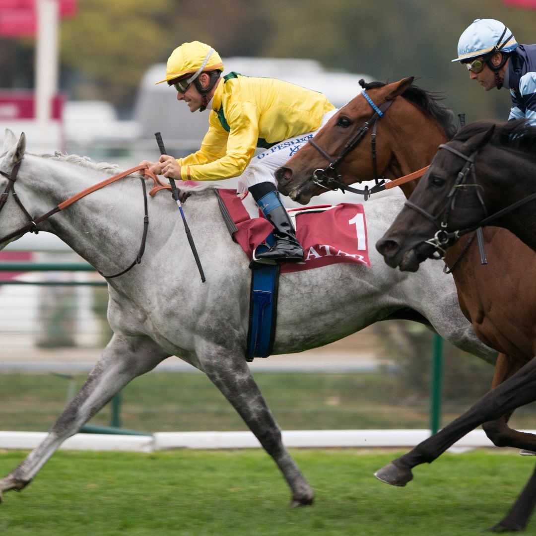 競馬Breeders' Cup 2021 Champion ジャージジャケット 競馬Breeders' Cup 2021 Champion ジャージジャケット 競馬Breeders