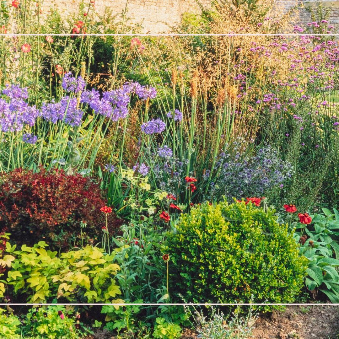 Should outdoor plants be watered every day in a heatwave? | Woman & Home