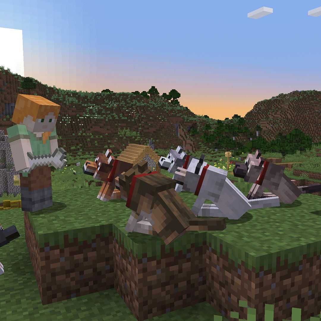Mojang finally adds more than one type of dog to Minecraft, after over a  decade of players struggling to tell their wolves apart | PC Gamer, image size:1080x1080