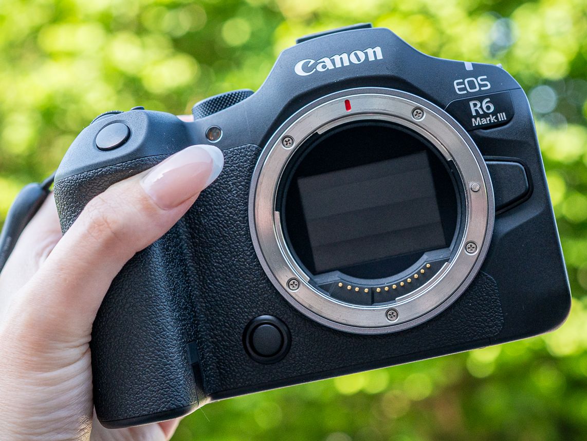 goです！Canon EOS R6 Canon EOS R6 III review: A wildlife wonder | Live Science