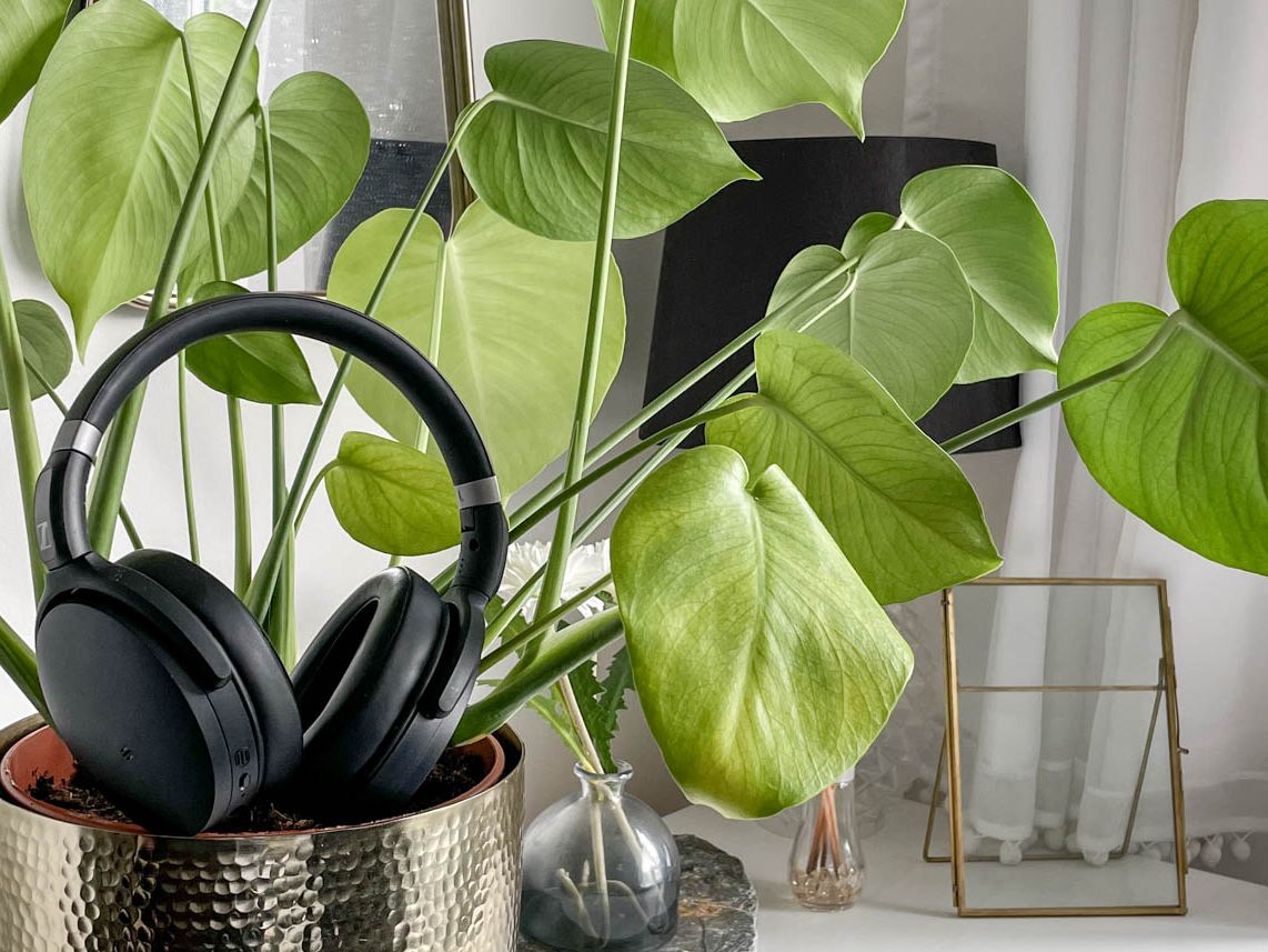 Sennheiser HD 450SE review | Laptop Mag