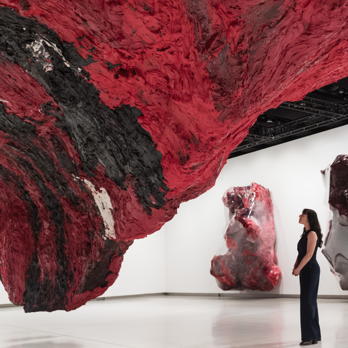 Anish Kapoor: 'zinging' exhibition is a 'divine bloodbath' | The Week