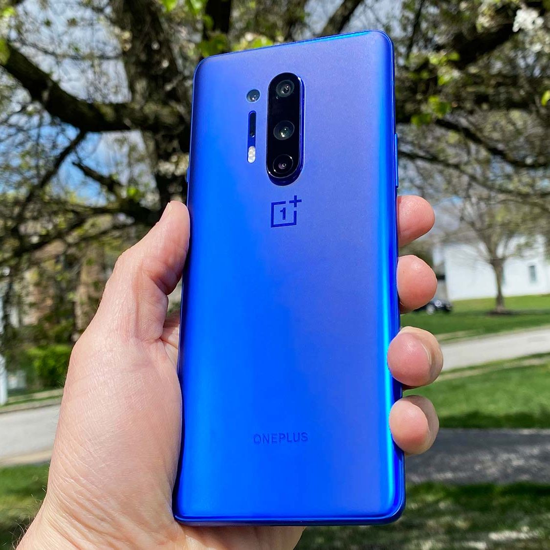 OnePlus 8 launch live blog: Here's every big announcement