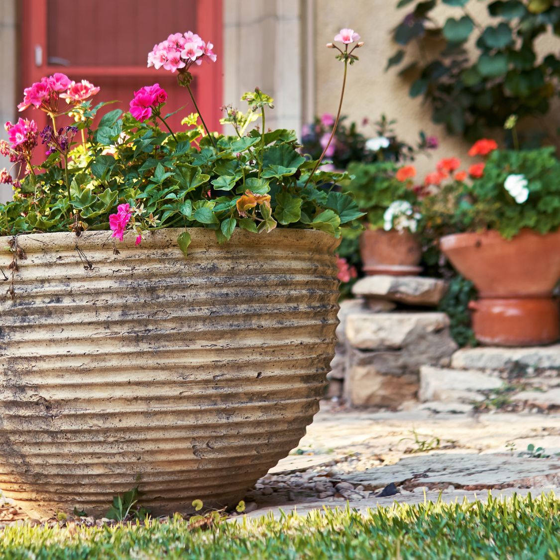 succulant pots Succulent Planters main image 0