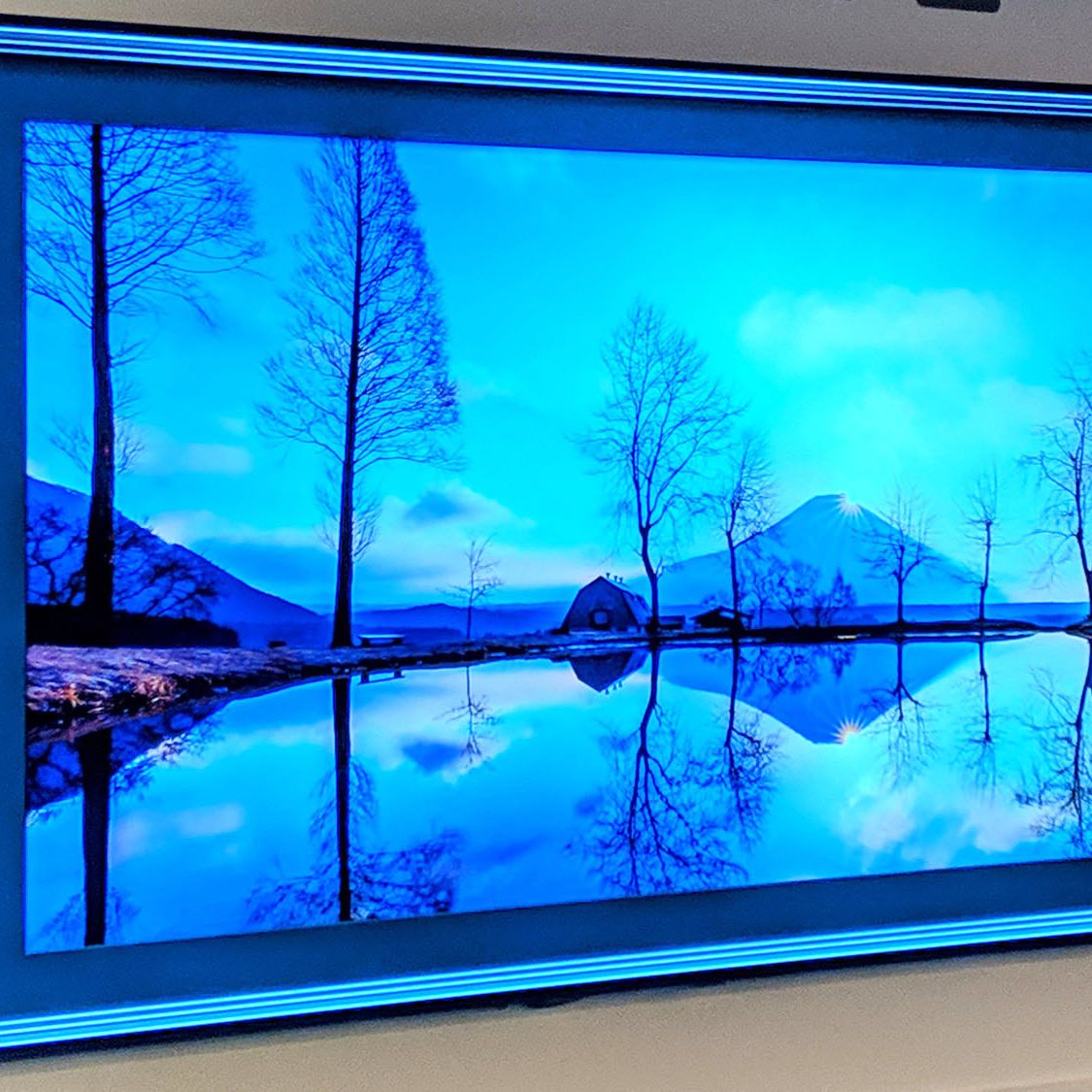 テレビ LG OLED 55v C7with Burn in pickup only I'm assuming this TV