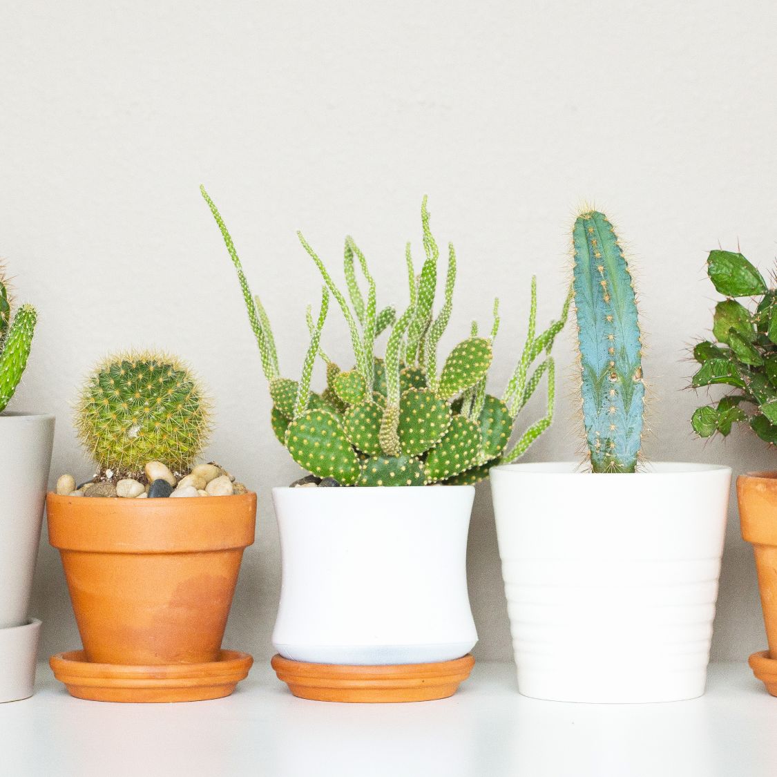 indoor plant stands Japandi Tiered Plant Stand | Home Decor