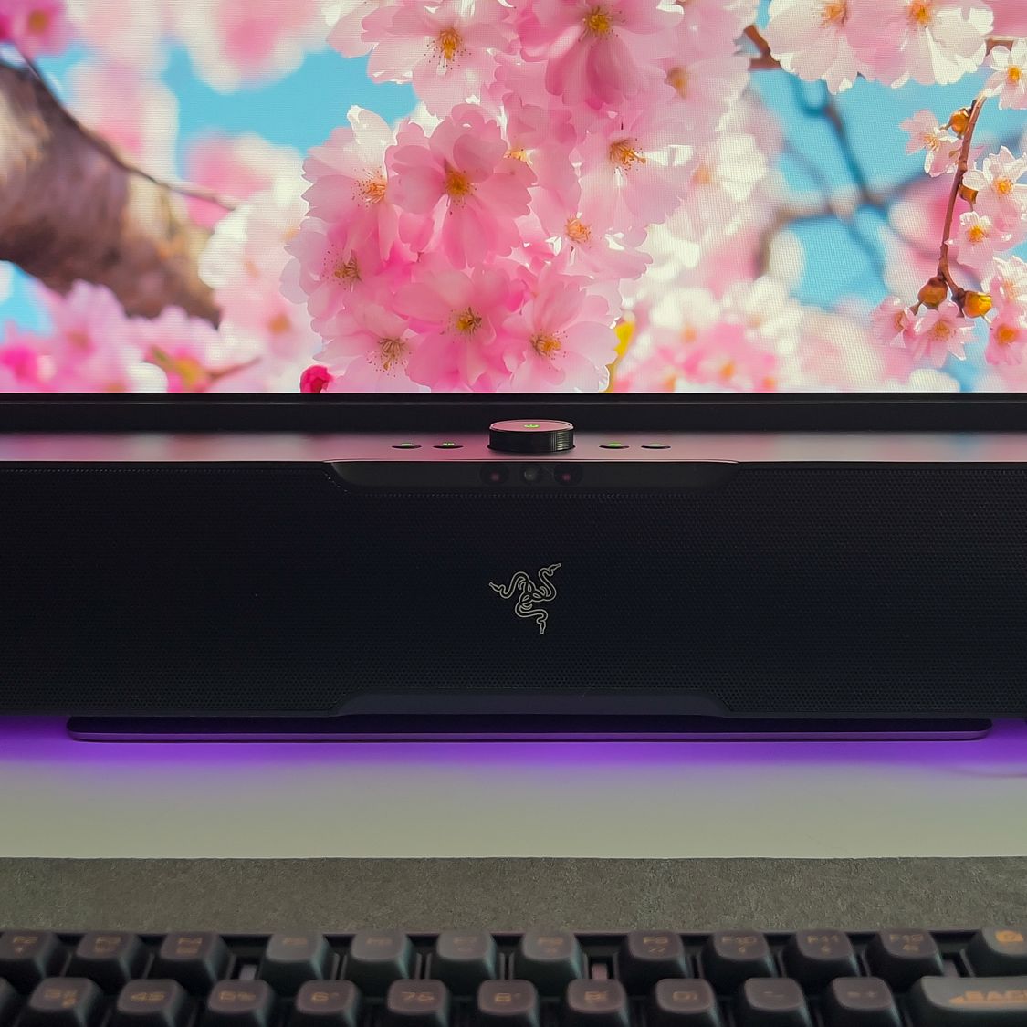 Razer Leviathan V2 Pro (ジャンク扱い) GUEST_8fee8ab3-23bd-45e3-b823-