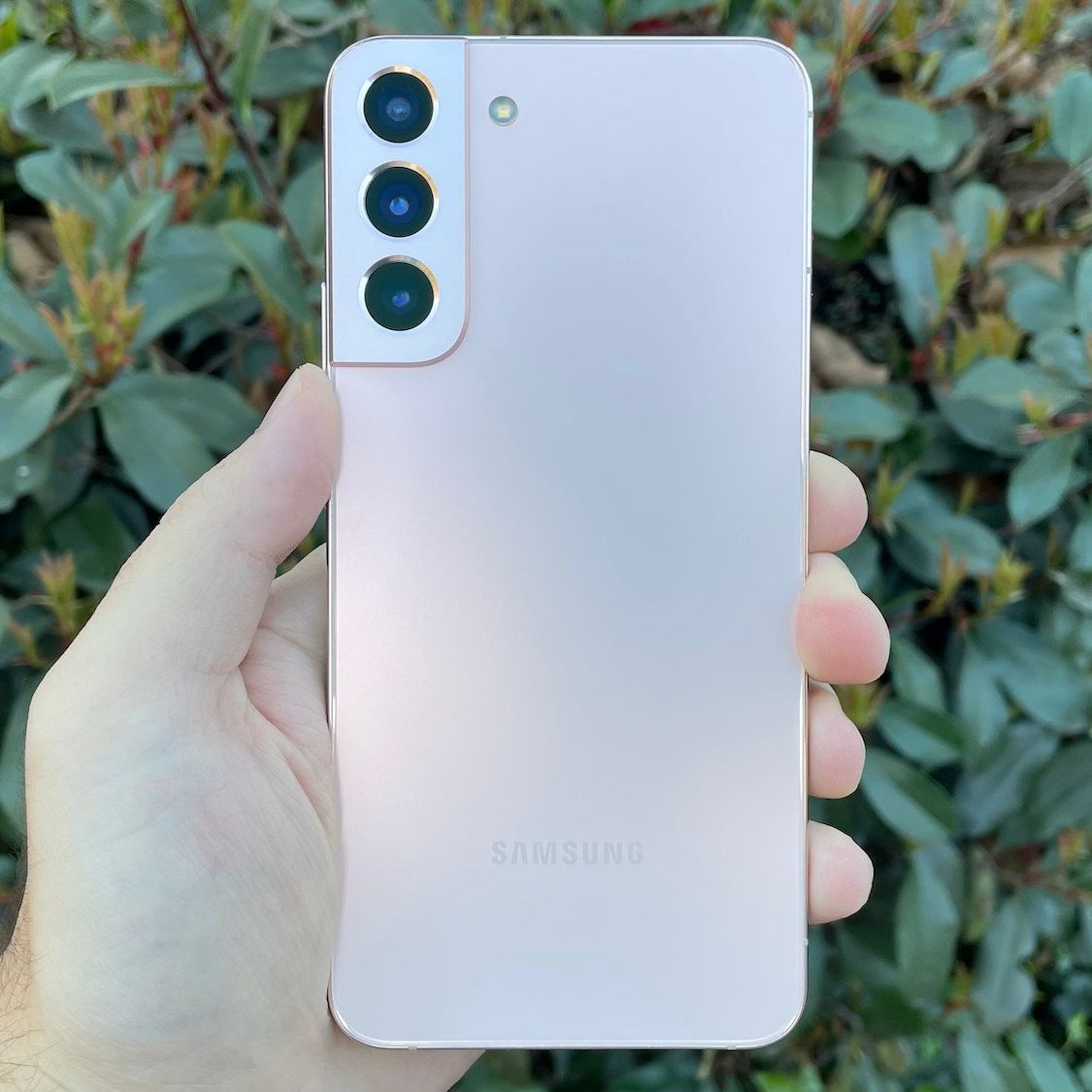 Samsung probably won't skip the Galaxy S24 Plus next year, despite