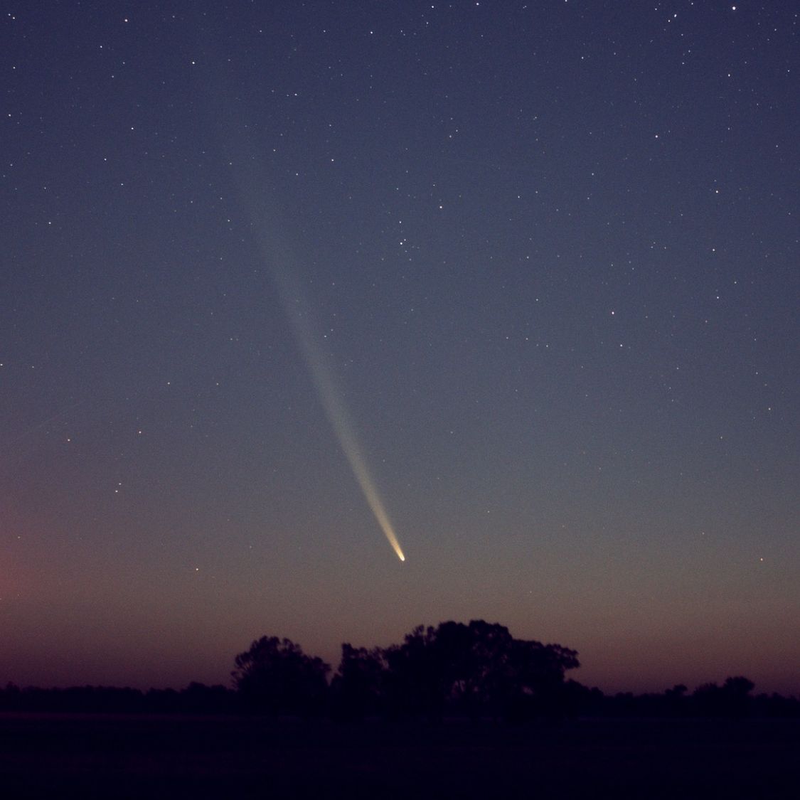 The dazzling Comet Tsuchinshan-ATLAS is emerging in the