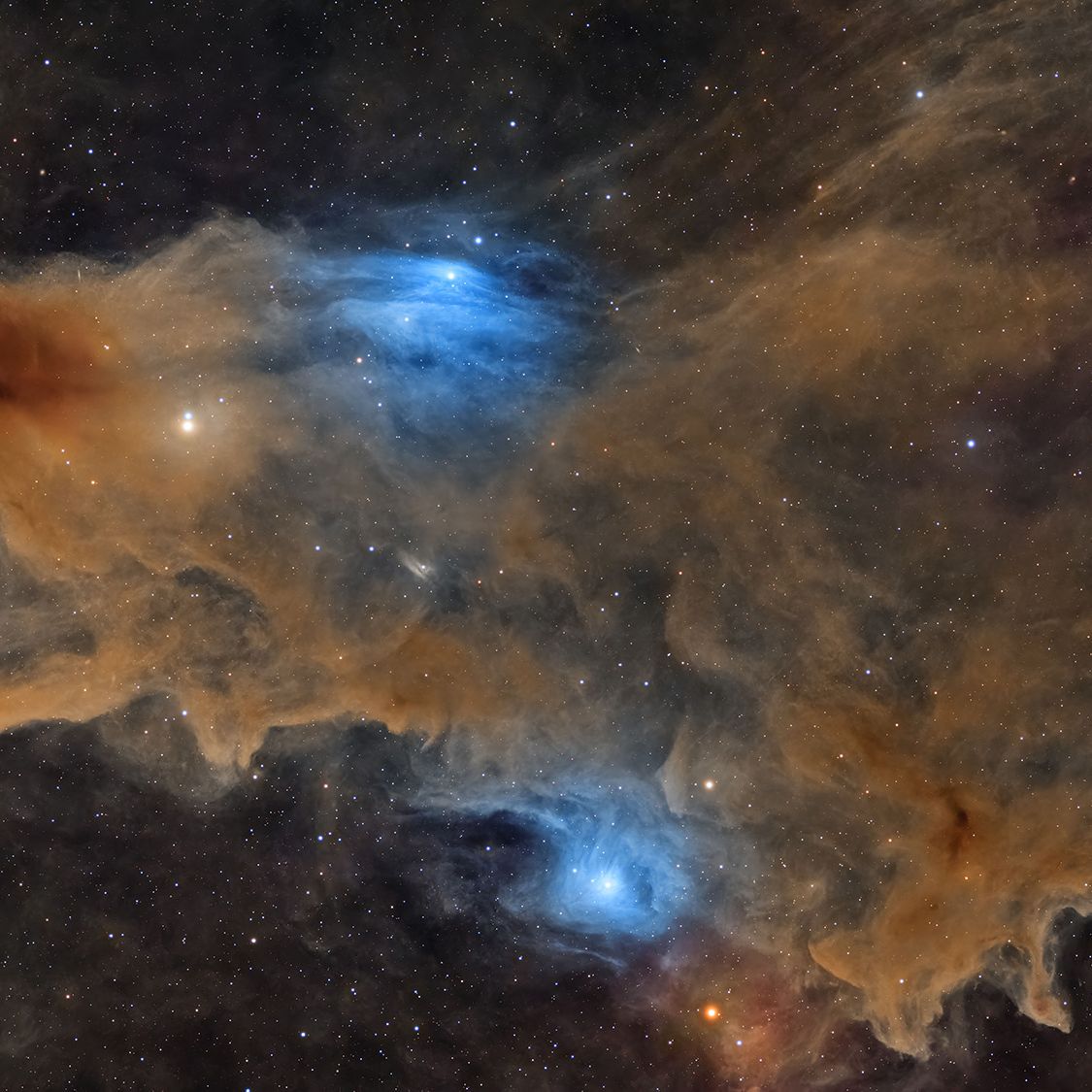 A space shark, 'royal' auroras and a 'Venusian pearl': See the