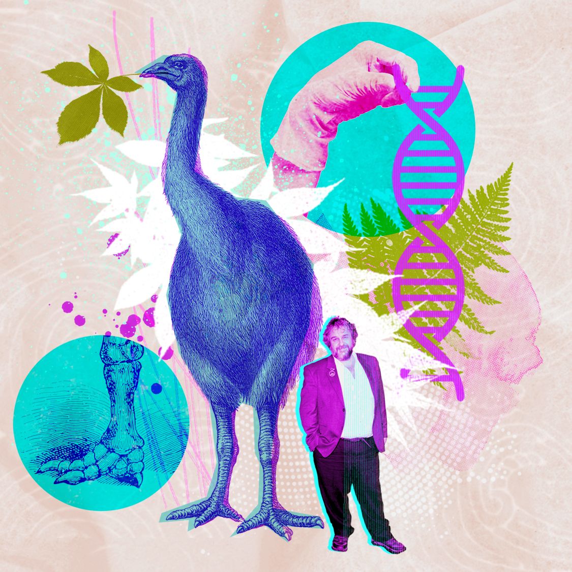 Image related to Moa De-Extinction