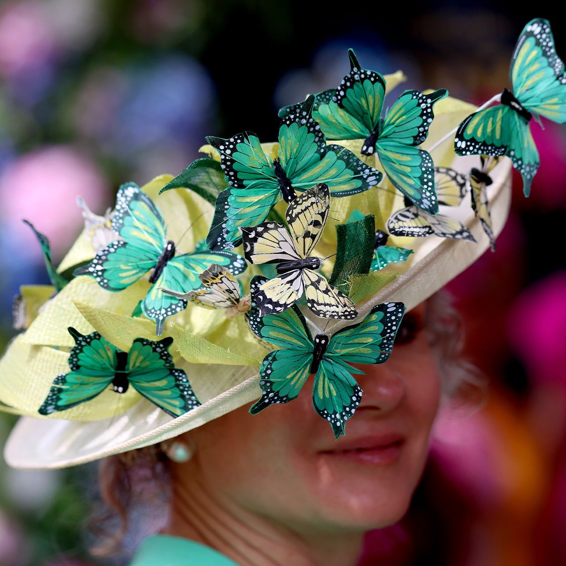 Derby Hat Butterflies Shop Fascinator Hat Butterfly Wide 