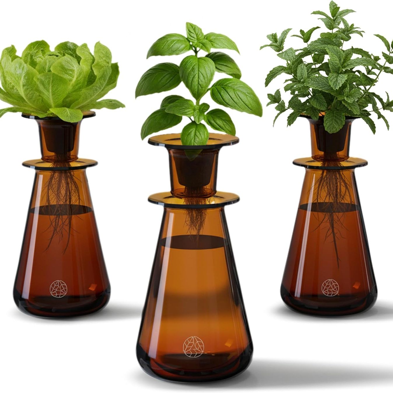 Lettuce Grow Counterstand Set &amp;ndash; Vase Plant for Indoor Edible Garden Kit for Herbs &amp;amp; Lettuce &amp;ndash; Small-Space Hydroponic System &amp;ndash; Home Decor &amp;amp; Gifting &amp;ndash; No Glow Lamp