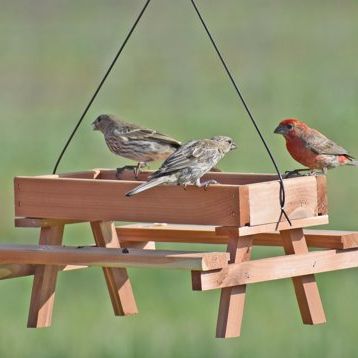 Valley Splendor Cedar Picnic Table Bird Feeder - Platform Feeder, Hanging - Made in Usa