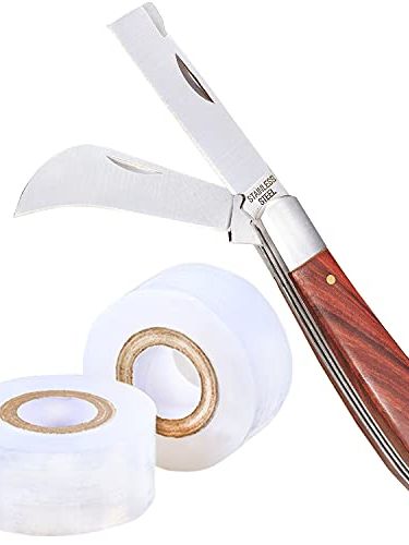 Knife With 2 Blades