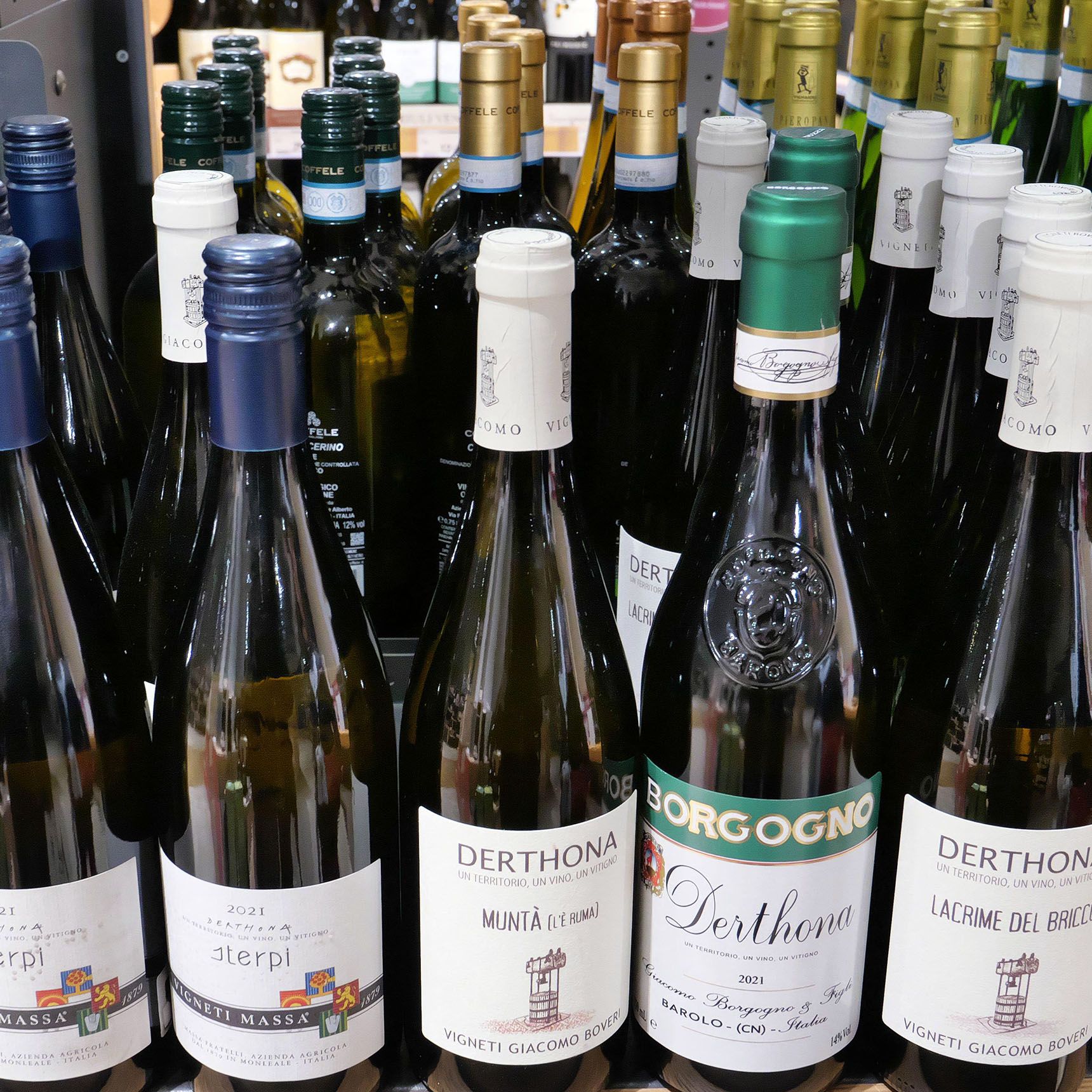 The story of Timorasso, the Piedmont grape brought back from near