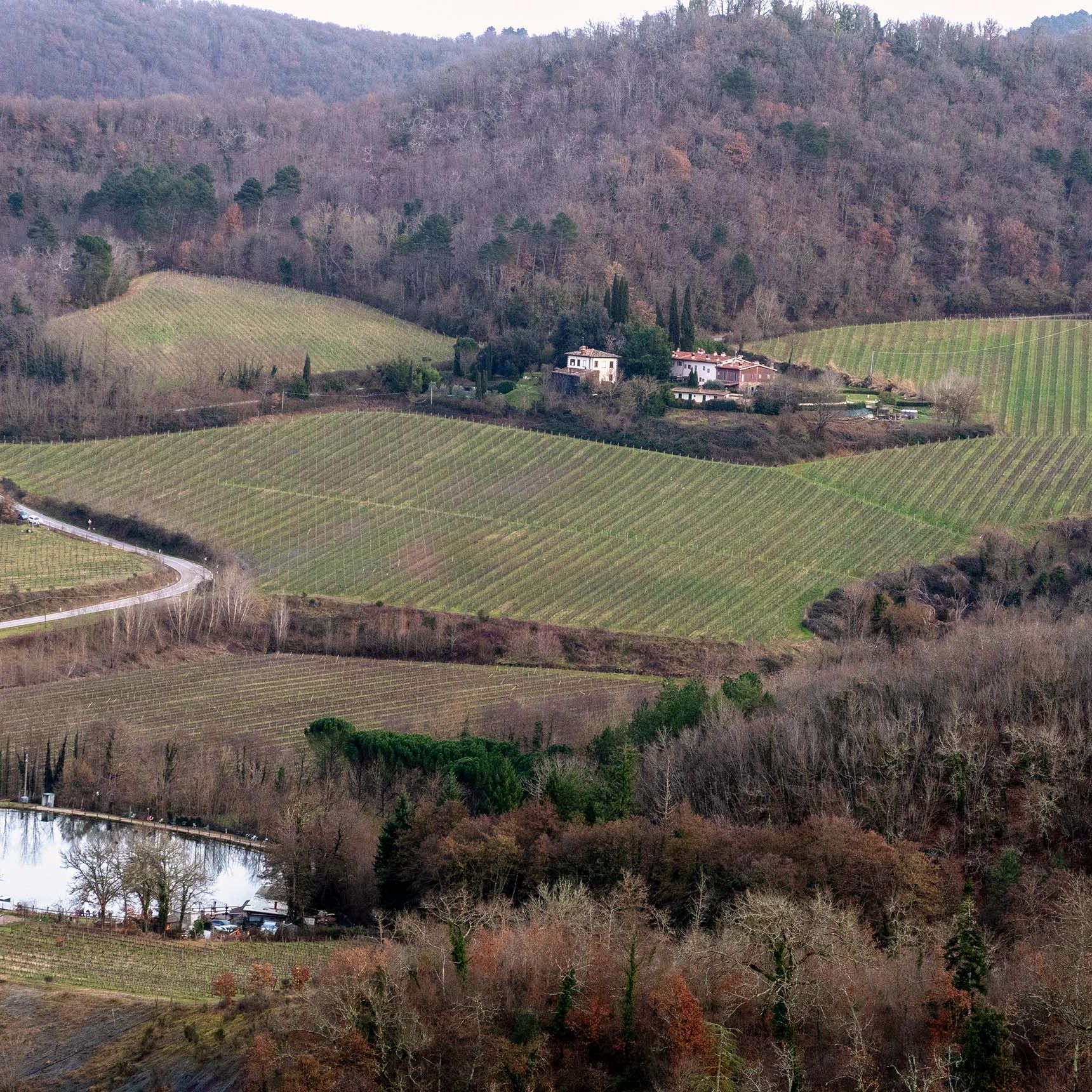 Chianti Classico: The enduring appeal and resilience of Riserva 