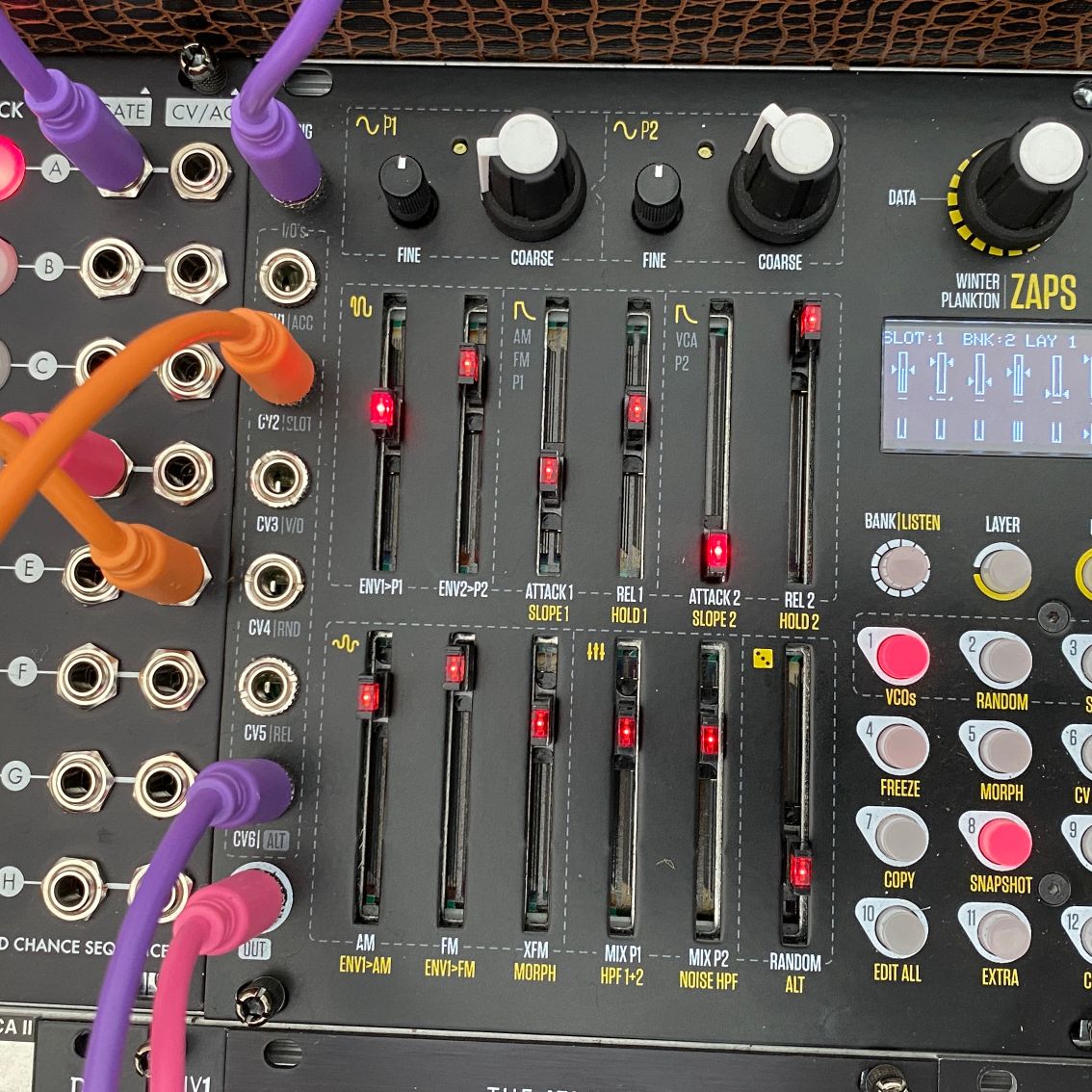 Superbooth 2021 first look video: Plankton Electronics and Winter