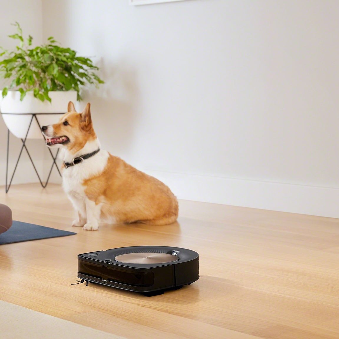 ドラゴン☆美品☆iRobot s9+☆ アイロボット(IRobot) s9+ ロボット掃除機 S955860 ブラック