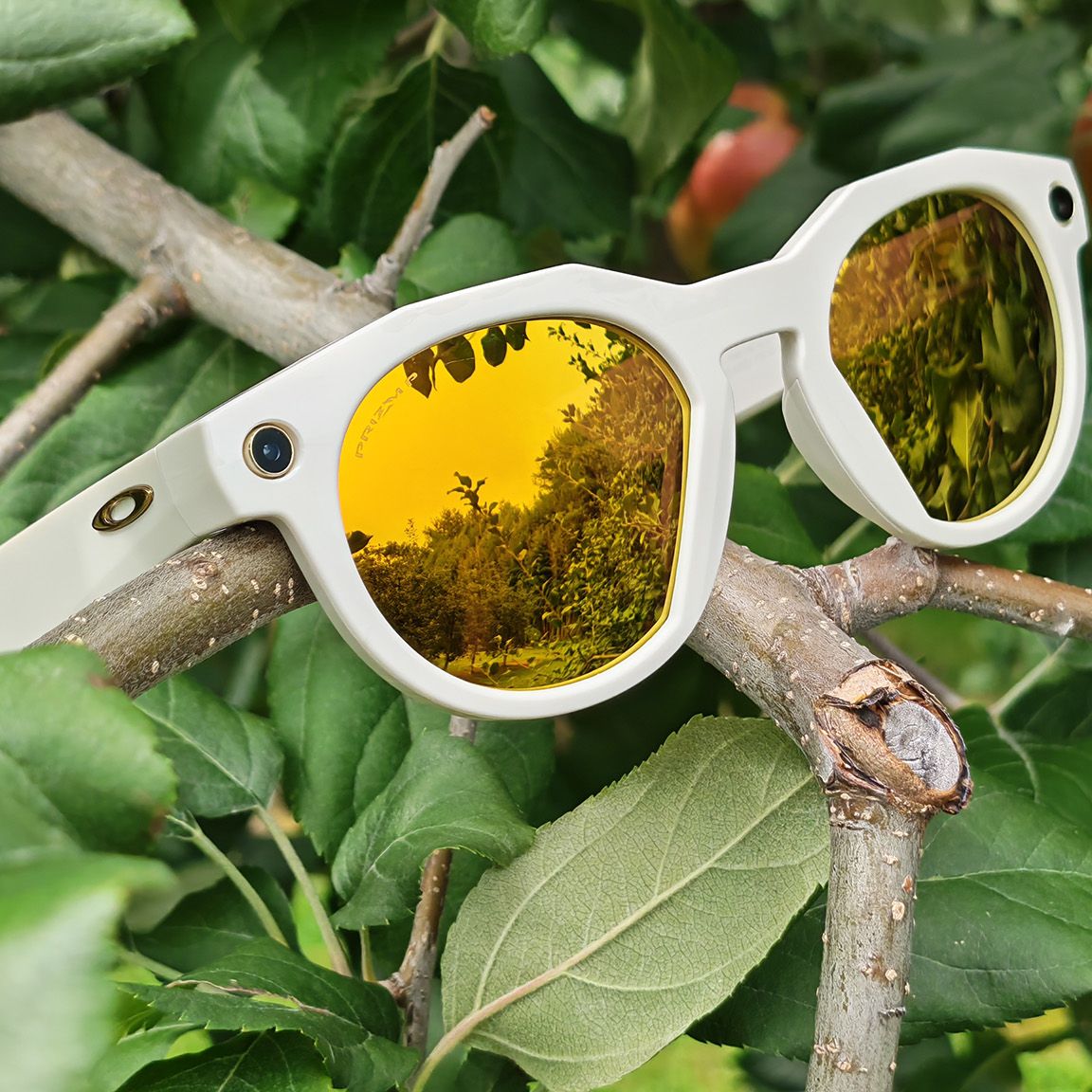 Oakley Meta HSTN smart glasses review: The new gold standard