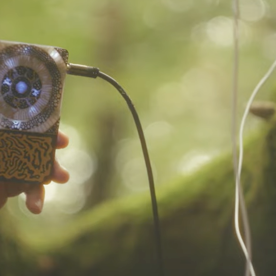 Just clip on to a leaf and play