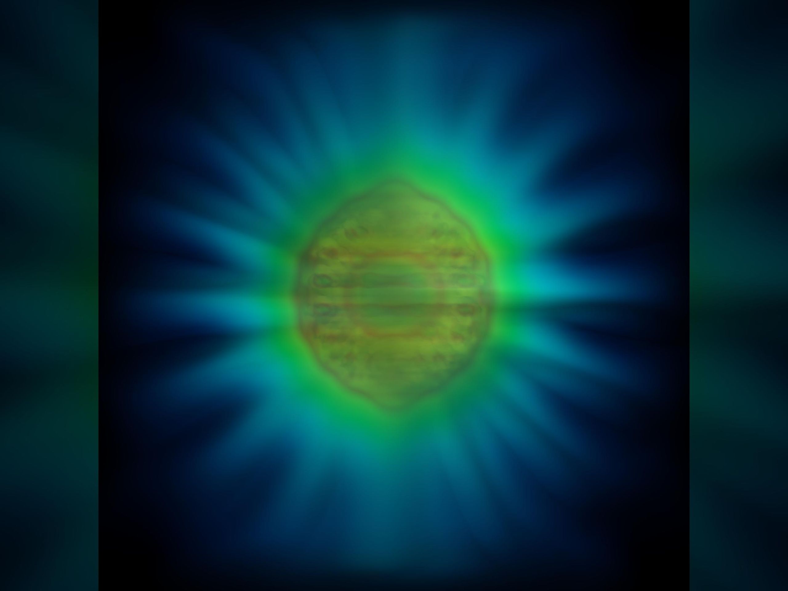 The shape of light: Scientists reveal image of an individual