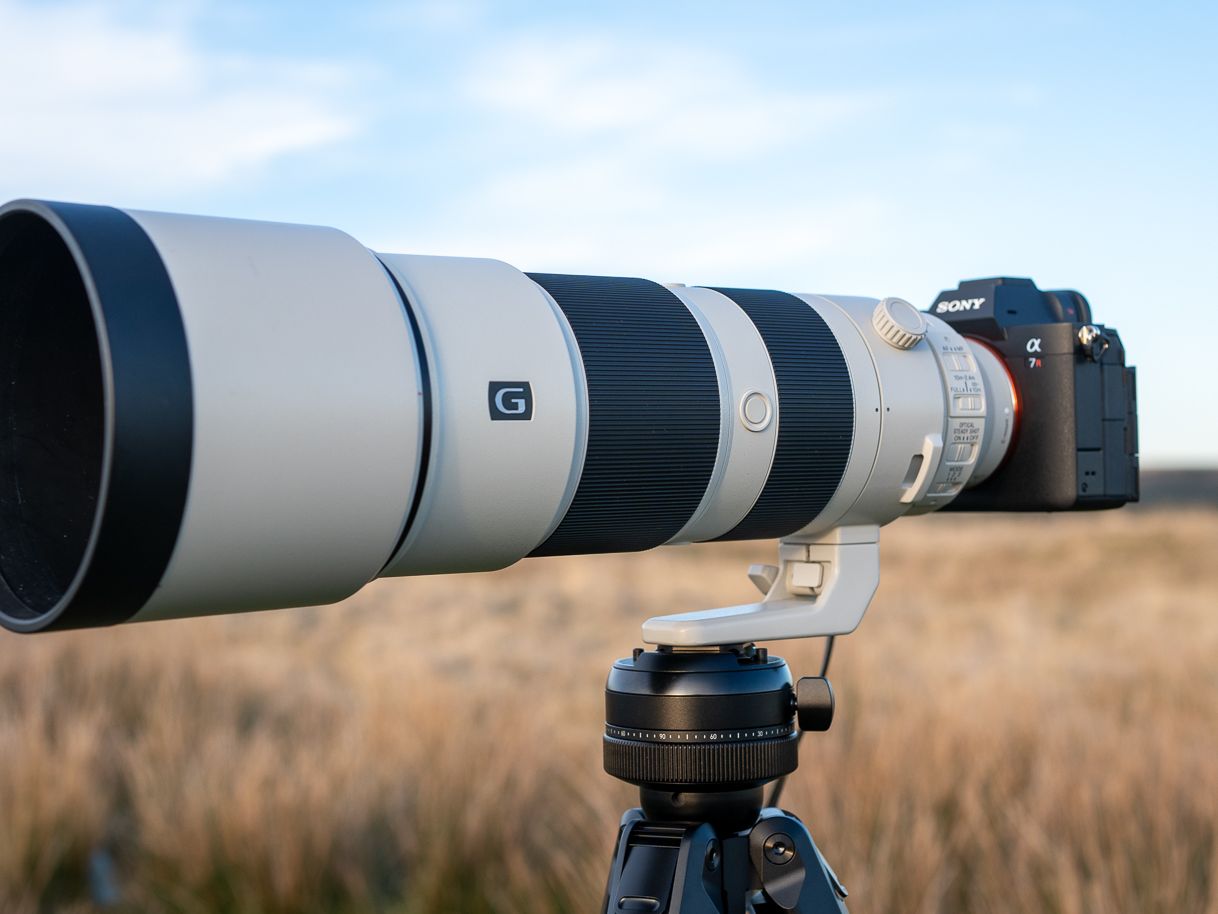Sony FE 200-600mm f/5.6-6.3 G OSS review | Live Science