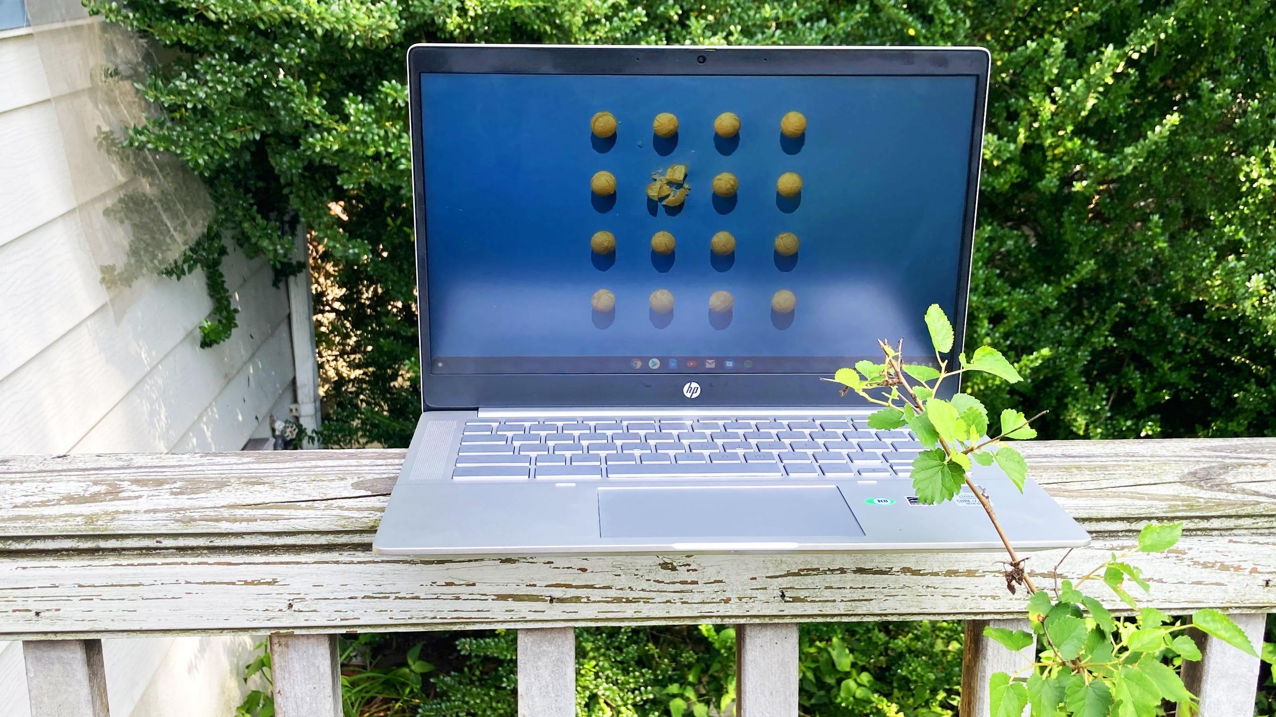 HP Pro C640 Chrome Enterprise review | Laptop Mag