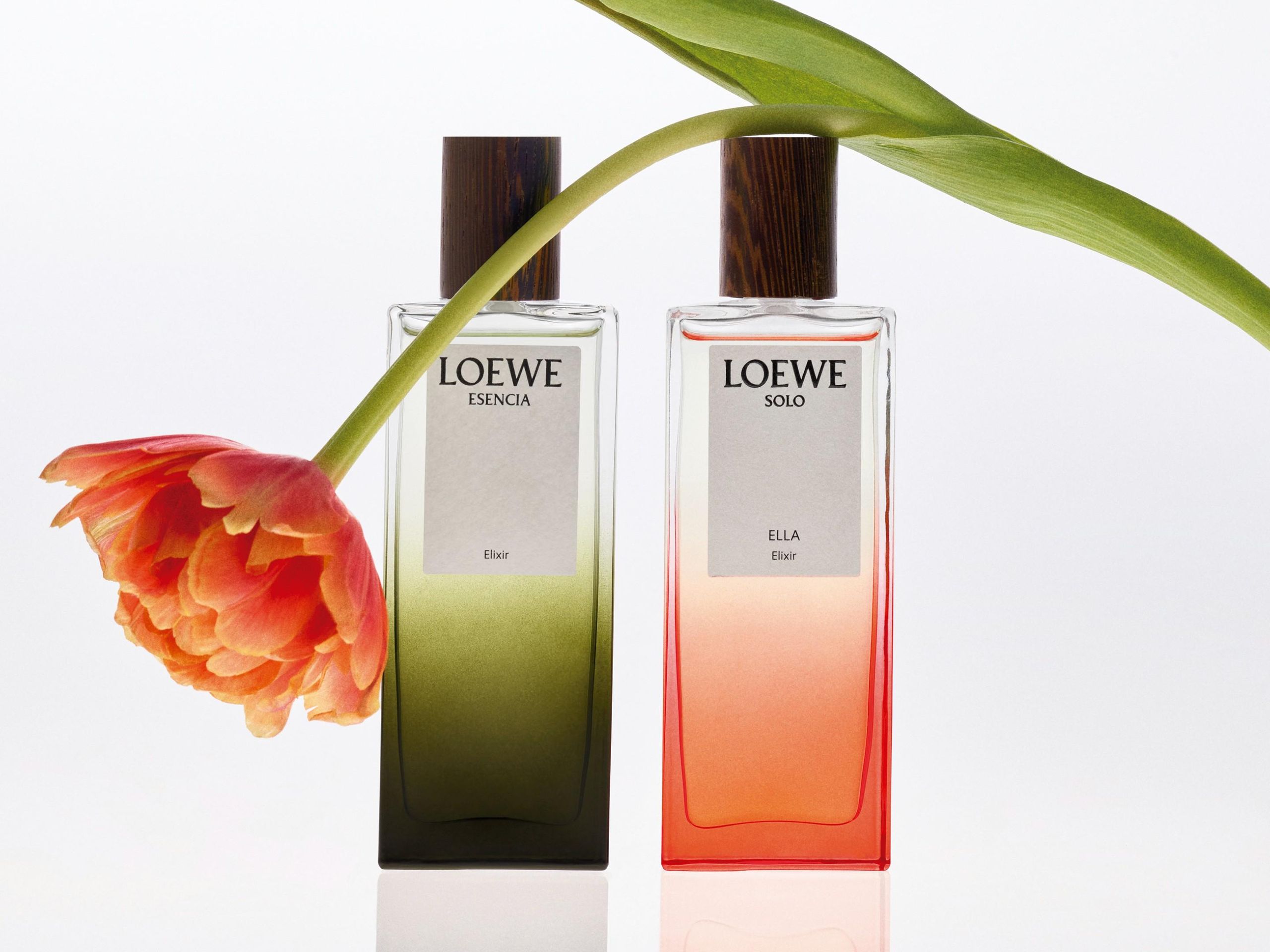 LOEWE ロエベ SOLO ELLA & ELIXIRオードパルファム50ml X8M75XUUHvLohU7V4YTTpb.jpeg