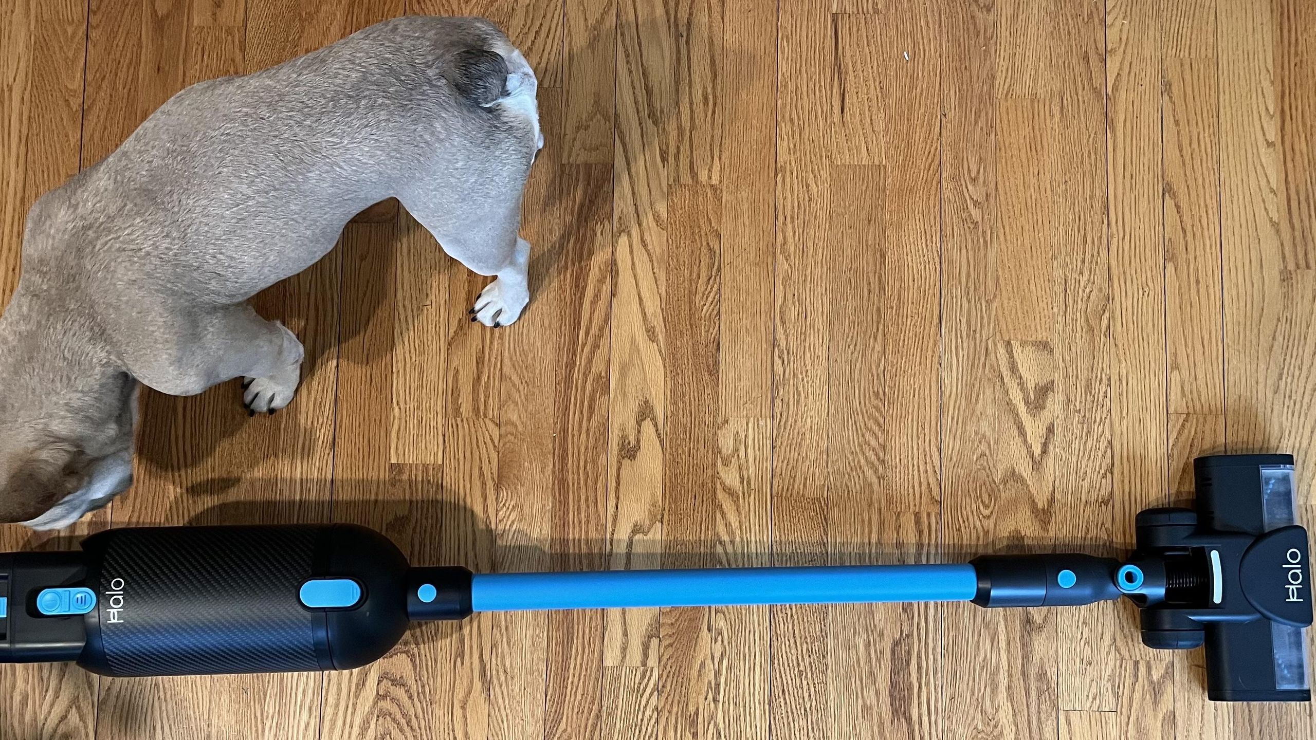 Halo Capsula – Leggero Cordless Stick Aspirapolvere Bundle Deal