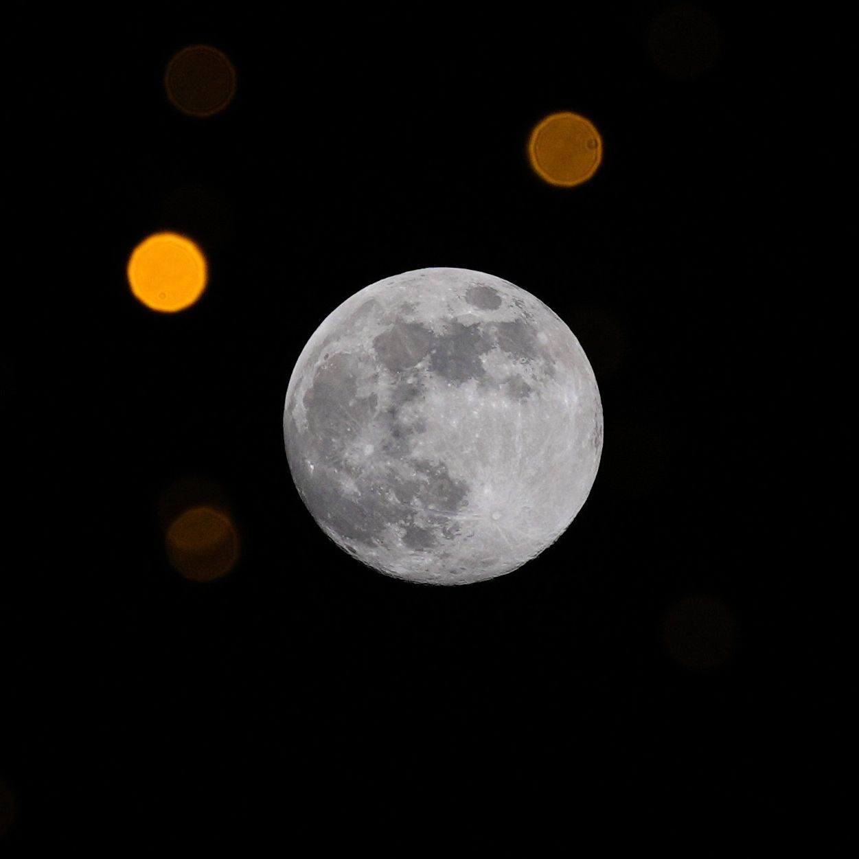 Cold Supermoon' 2025: It's not too late to see the last, highest full moon  of the year | Live Science, image size:1251x1251