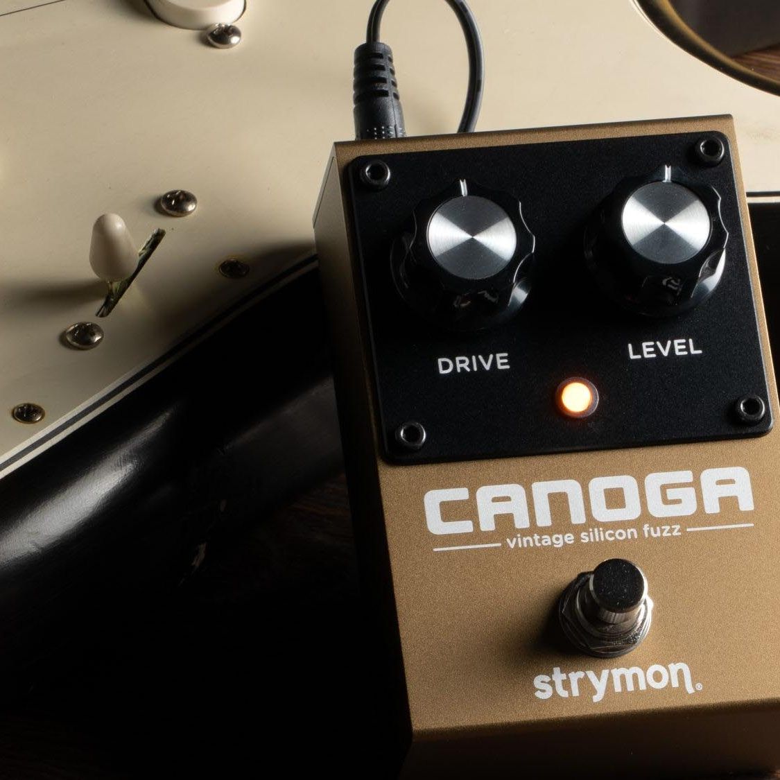 Strymon launches the Canoga – a two-knob silicon fuzz pedal