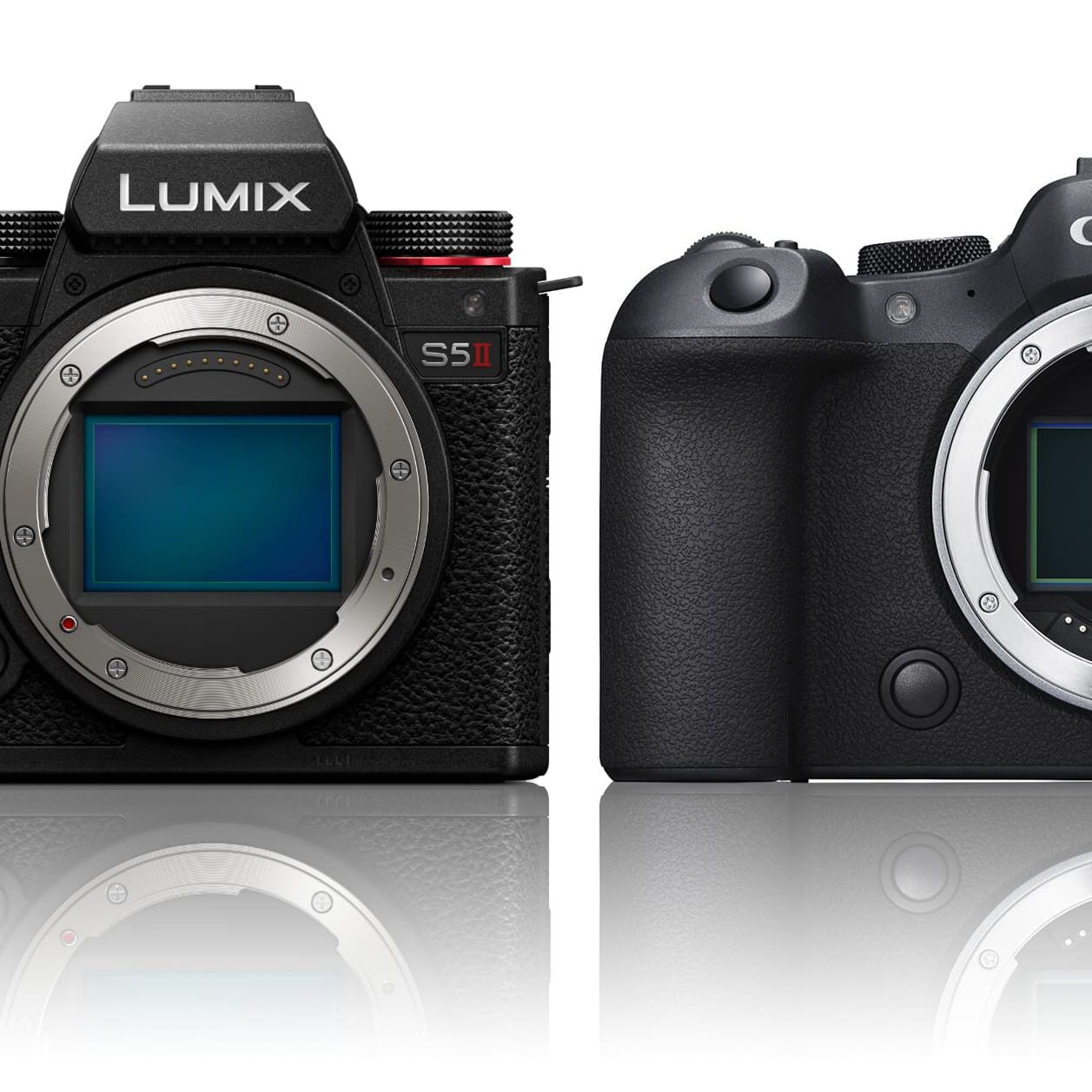 Panasonic Lumix S5 II vs Canon EOS R6 II | Digital Camera World