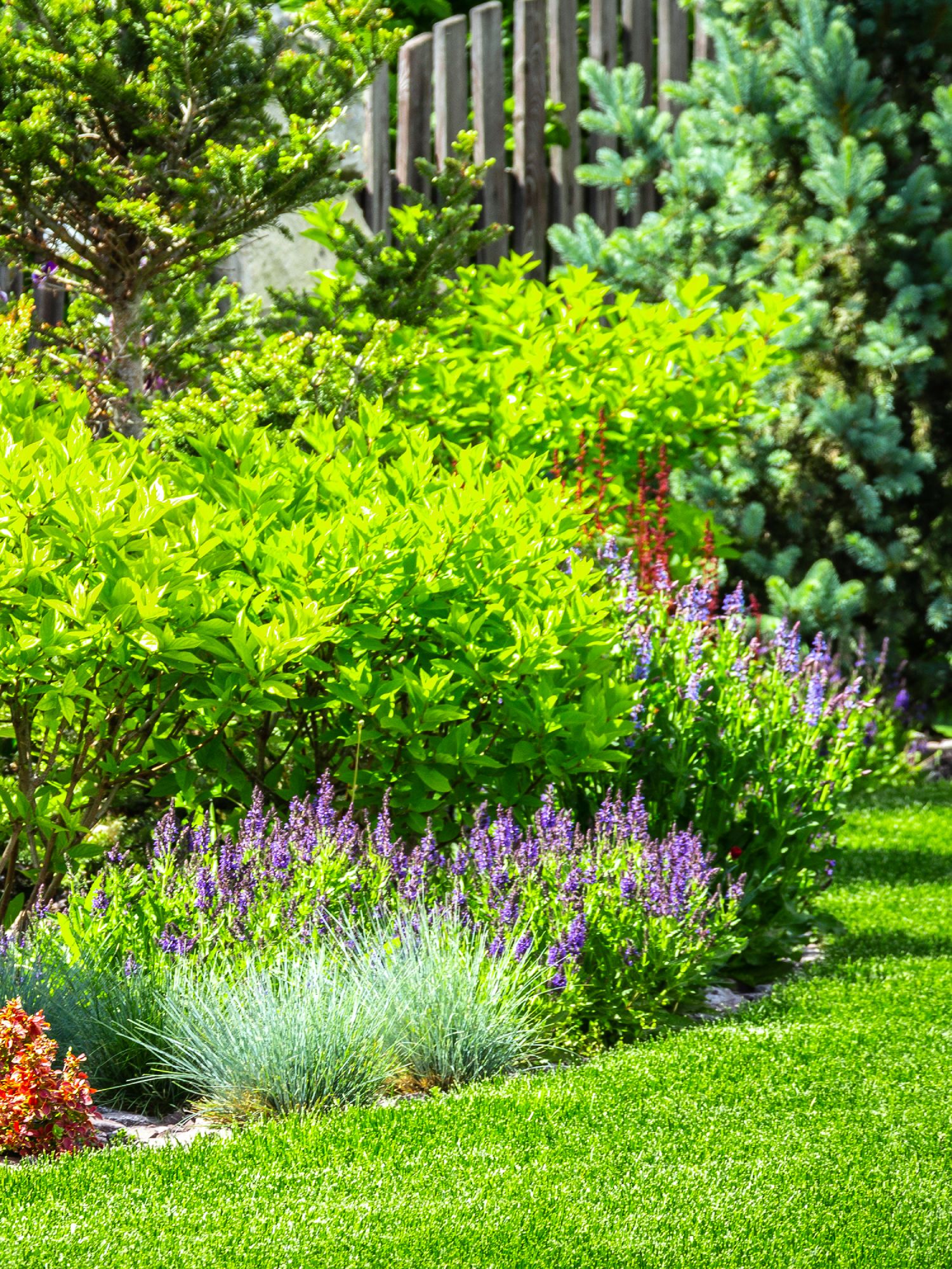 neatly landscaped garden bed and lawn