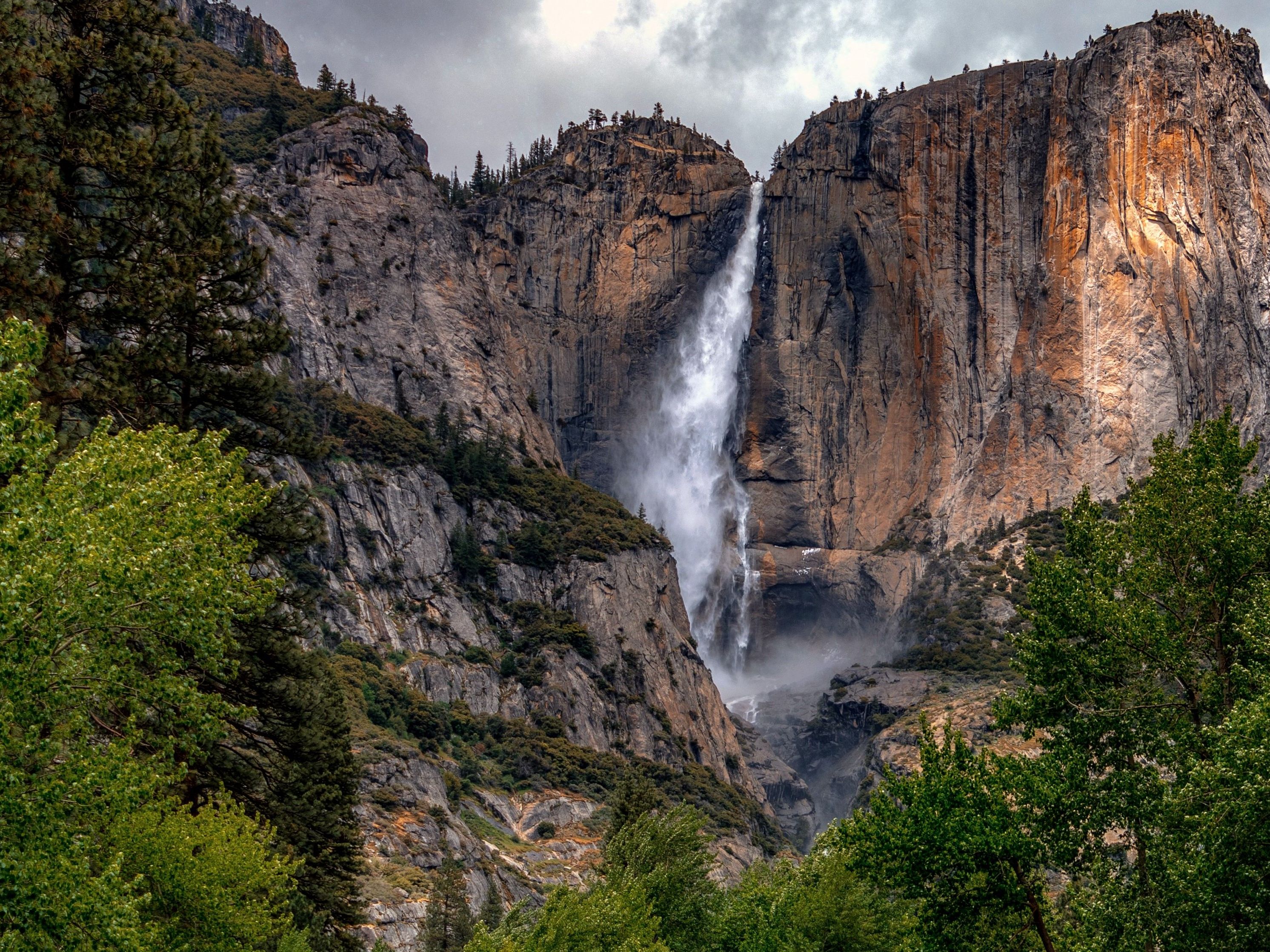 Hiker crushed to death by falling tree on popular Yosemite trail | Advnture